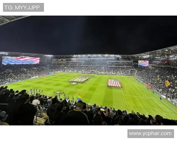 凯恩的传奇旅程：从绿茵场到足球历史的巅峰之路