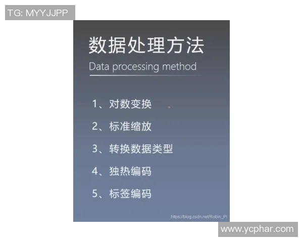 焦泊乔：探索他在现代文学中的独特视角与创作风格的深度分析与解读